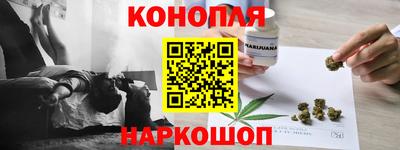 apvp Свободный